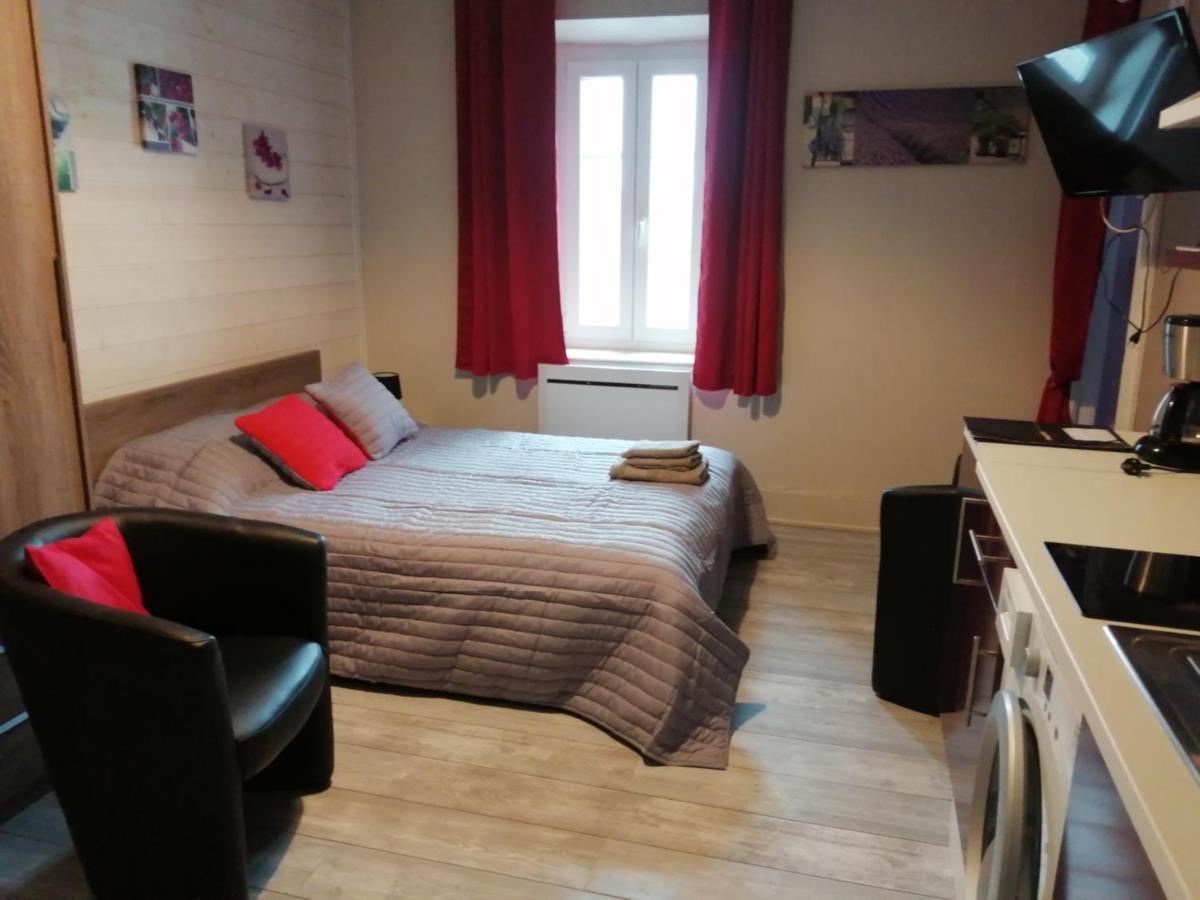 Joli studio dans un ancien hôtel du XIX siècle - réservation minimum 3 nuitées Vittel Esterno foto